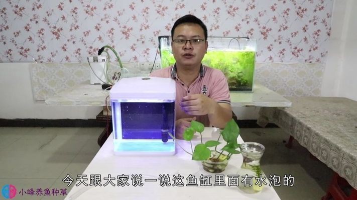 高青縣聚龍灣水族館（高青縣聚龍灣水族館電話）