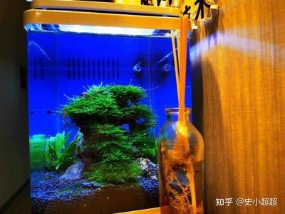 百因美魚缸行嗎：百因美魚缸怎么樣？