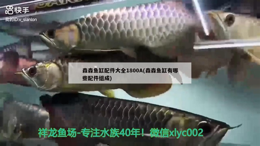 森森魚缸配件大全1800A(森森魚缸有哪些配件組成) 森森魚缸配件大全1800A(森森魚缸有哪些配件組成) 虎魚百科