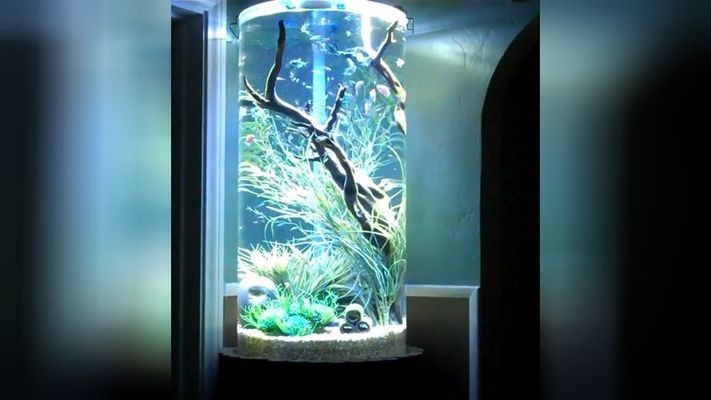 沂源縣歷山街道辦事處萬豪水族館（沂源縣歷山街道辦事處萬豪水族館電話）