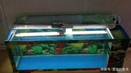 側過濾魚缸安裝