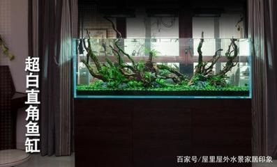 川沙哪里有賣魚缸的實體店鋪：川沙地區售賣魚缸的一些實體店鋪：百聯川沙購物中心 川沙哪里有賣魚缸的實體店鋪：川沙地區售賣魚缸的一些實體店鋪：百聯川沙購物中心 魚缸百科 第1張
