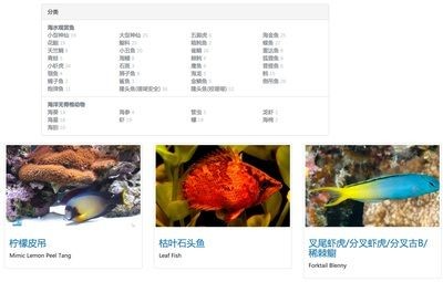 川沙哪里有賣魚缸的實體店鋪：川沙地區售賣魚缸的一些實體店鋪：百聯川沙購物中心 川沙哪里有賣魚缸的實體店鋪：川沙地區售賣魚缸的一些實體店鋪：百聯川沙購物中心 魚缸百科 第3張