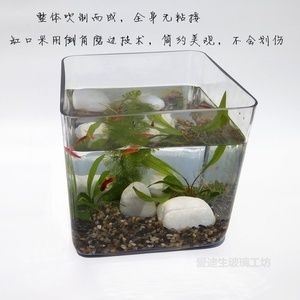 玻璃魚缸粘接：關于玻璃魚缸粘接的一些詳細信息