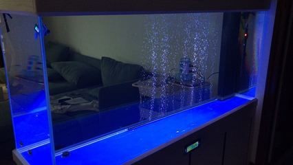大型定做魚缸如何降溫：大型定做魚缸如何降溫？ 大型定做魚缸如何降溫：大型定做魚缸如何降溫？ 魚缸百科 第1張