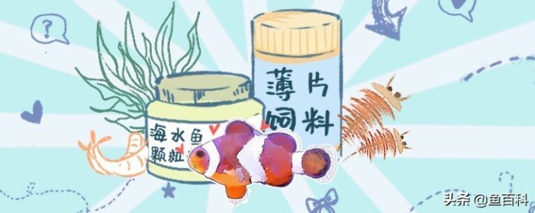 磁縣靚點(diǎn)水族魚缸門市（磁縣靚點(diǎn)水族魚缸門市在哪） 磁縣靚點(diǎn)水族魚缸門市（磁縣靚點(diǎn)水族魚缸門市在哪） 全國(guó)水族館企業(yè)名錄 第1張