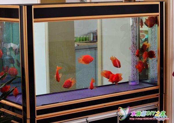 除了魚缸還有什么裝飾材料：如何選擇魚缸裝飾材料