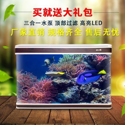 哪些食物適合龍魚恢復期食用？（龍魚恢復期喂食計劃表） 哪些食物適合龍魚恢復期食用？（龍魚恢復期喂食計劃表） 龍魚百科 第2張