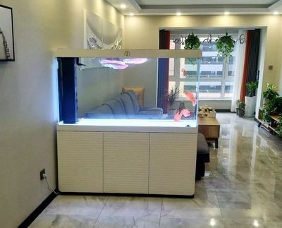 側(cè)濾魚缸如何實(shí)現(xiàn)干濕分離效果