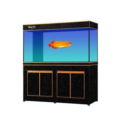 白珊瑚可以放魚缸里嗎：白珊瑚可以放入魚缸中嗎？ 白珊瑚可以放魚缸里嗎：白珊瑚可以放入魚缸中嗎？ 魚缸百科 第3張