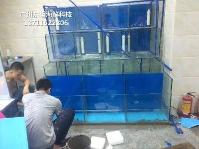 瓷磚自制魚缸效果圖視頻：瓷磚自制魚缸2.0分享diy瓷磚魚缸2.0分享