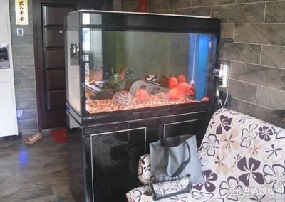 瓷磚自制魚缸效果圖視頻：瓷磚自制魚缸2.0分享diy瓷磚魚缸2.0分享