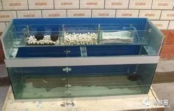 瓷磚自制魚缸效果圖視頻：瓷磚自制魚缸2.0分享diy瓷磚魚缸2.0分享