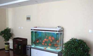 榆林市高新區奧麗瑞斯魚缸經銷店（榆林市高新區奧麗瑞斯魚缸經銷店地址）