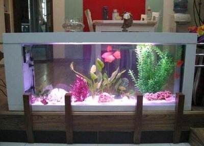 別人送的魚缸能要嗎？：別人送的魚缸是否能取決于個(gè)人的觀念和需求以及個(gè)人喜好等