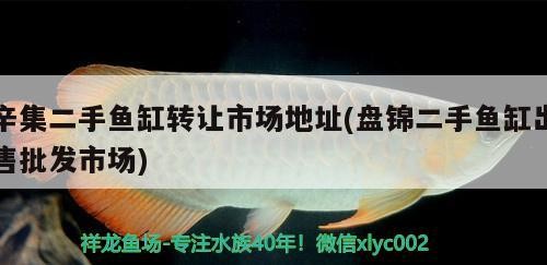 辛集二手魚缸轉讓市場地址(盤錦二手魚缸出售批發市場) 辛集二手魚缸轉讓市場地址(盤錦二手魚缸出售批發市場) 豬鼻龜百科