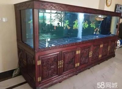 大型魚缸搬運(yùn)多少錢一個小時：大型魚缸搬運(yùn)價格是多少