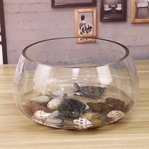 玻璃魚缸圓形：圓形玻璃魚缸怎么選擇