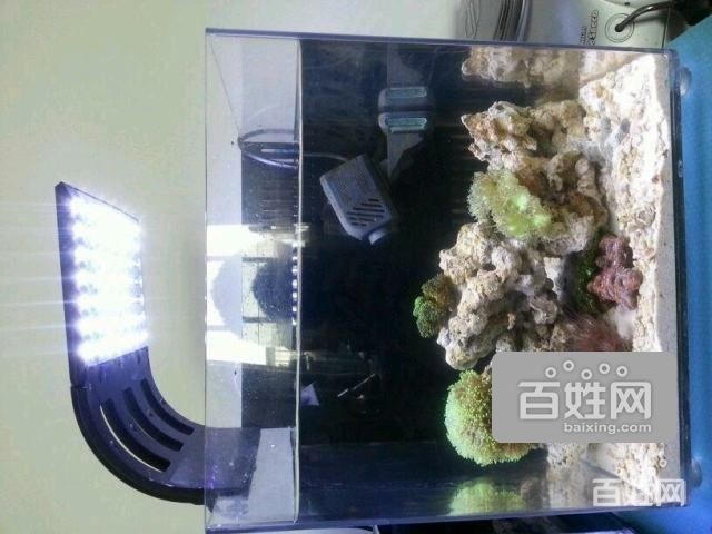 大港賣魚缸的地方：在天津大港地區(qū)出售魚缸的相關(guān)信息