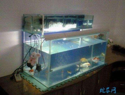 玻璃魚缸制作方法粘貼圖案：制作一個玻璃魚缸并粘貼圖案可能涉及到幾個步驟