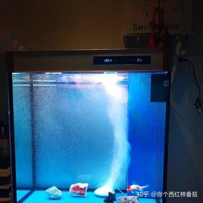不用氣泵怎么給魚缸里打氧：如何在沒有氣泵的情況下給魚缸增加氧氣
