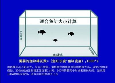 多久給魚缸消一次毒好：新魚缸消毒頻率取決于多種因素，養(yǎng)魚愛好者應(yīng)注意以下幾點