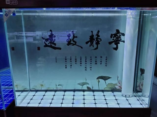 多久給魚缸消一次毒好：新魚缸消毒頻率取決于多種因素，養(yǎng)魚愛好者應(yīng)注意以下幾點