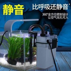 龍少區花卉市場韓晶水族商店（龍大花卉市場有水族嗎）