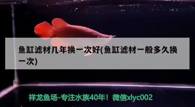 魚缸濾材幾年換一次好(魚缸濾材一般多久換一次)