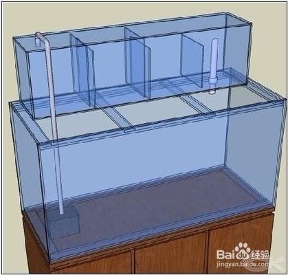 斗門區乾務鎮小豪水族館（斗門區乾務鎮小豪水族館電話）