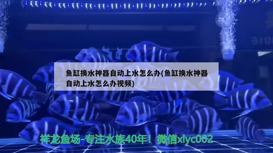 魚缸換水神器自動上水怎么辦(魚缸換水神器自動上水怎么辦視頻)