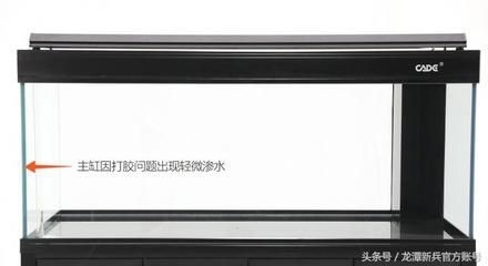 大魚(yú)缸漏水打膠打不住怎么辦呢：大魚(yú)缸漏水問(wèn)題需要根據(jù)搜索結(jié)果整理的幾種處理方式