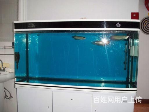 大型魚缸清洗視頻教學：大型魚缸如何清洗