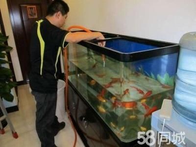 大型魚缸清洗視頻教學：大型魚缸如何清洗