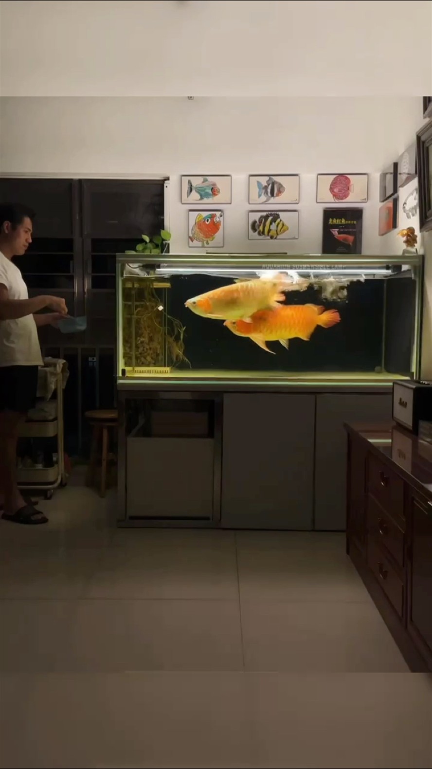 面對質疑，最有力的武器不是巧嘴辯解…… 面對質疑，最有力的武器不是巧嘴辯解…… 龍魚論壇