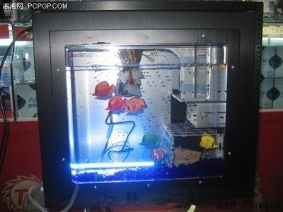從魚缸外面看魚會被放大的原理：從魚缸外面看魚時，魚缸和其中的水可以看作是一種簡單的光學儀器