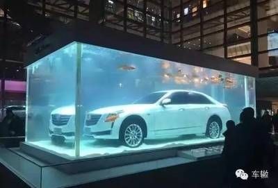 從魚缸外面看魚會被放大的原理：從魚缸外面看魚時，魚缸和其中的水可以看作是一種簡單的光學儀器