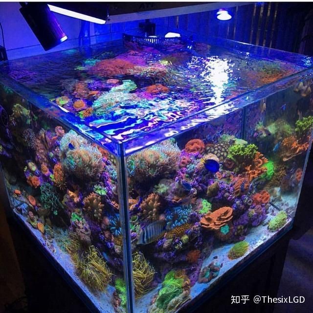 大型魚缸品牌推薦知乎：2024年魚缸十大品牌榜根據(jù)搜索結(jié)果整理的魚缸品牌介紹