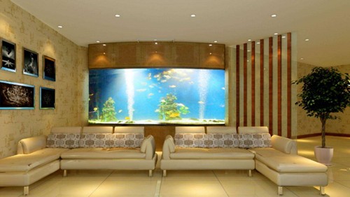 白城市銘偉水族館（白城市銘偉水族館電話）