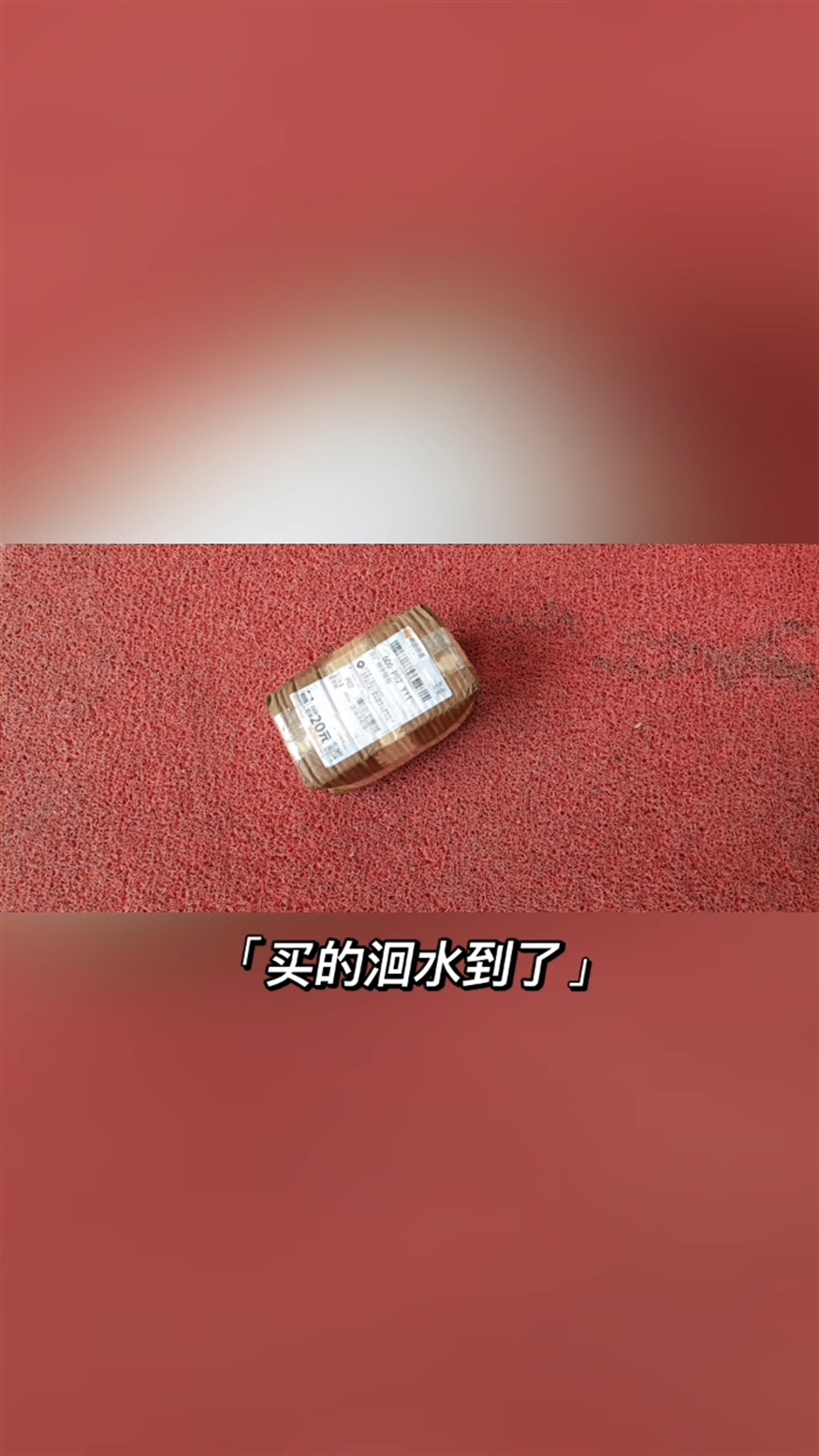 魚苗快半個月了，另一窩又產卵了