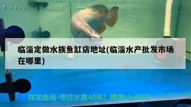 臨淄定做水族魚缸店地址(臨淄水產批發市場在哪里)