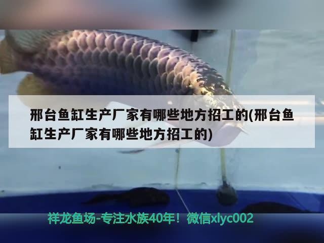 邢臺魚缸生產廠家有哪些地方招工的(邢臺魚缸生產廠家有哪些地方招工的)