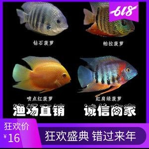 龍魚的藥可以給其他魚用嗎有毒嗎能吃嗎