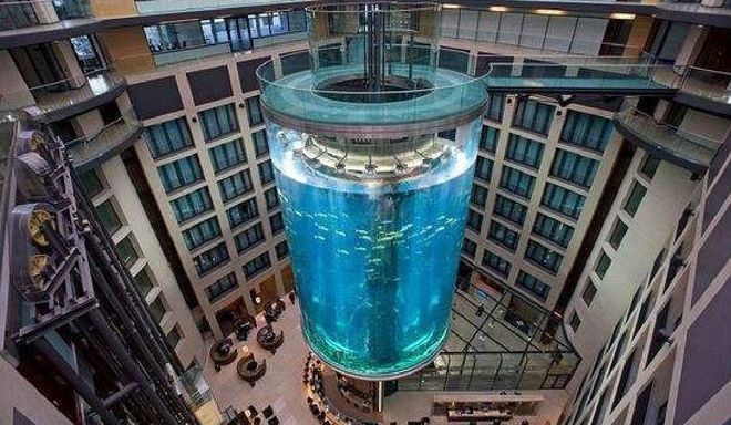 1.2米魚缸高度多少：1.2米長的魚缸高度多少米長的魚缸高度多少