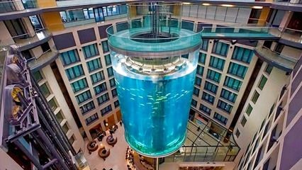 1.2米魚缸高度多少：1.2米長的魚缸高度多少米長的魚缸高度多少