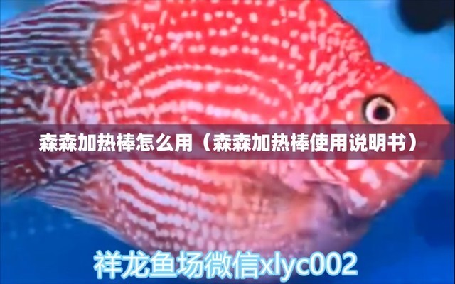 宿州市埇橋區深藍水族魚缸店（宿州水族館在哪）