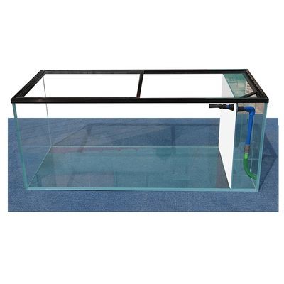 玻璃魚(yú)缸能打孔嗎有毒嗎視頻：如何在玻璃魚(yú)缸上打孔 玻璃魚(yú)缸能打孔嗎有毒嗎視頻：如何在玻璃魚(yú)缸上打孔 魚(yú)缸百科 第3張