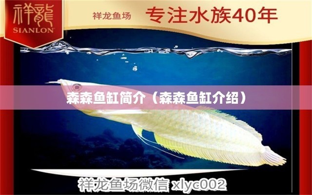 臨渭區(qū)新世界漁具總匯（臨渭區(qū)新世紀社區(qū)）