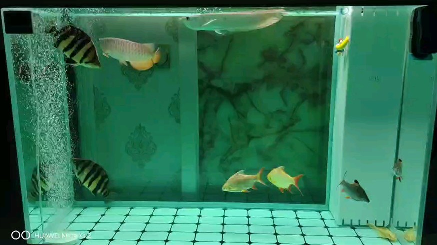 新人簽到