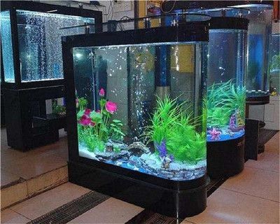 帶蓋魚缸和不帶蓋：帶蓋魚缸與不帶蓋魚缸的區別